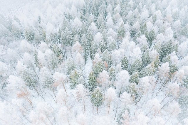 Winter Aesthetic Background