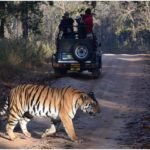 7 National Parks for Vacations in India