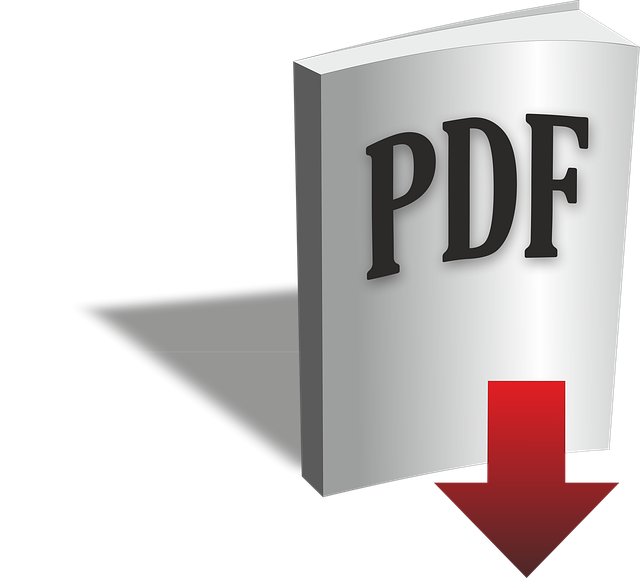 MS Word Docx to PDF