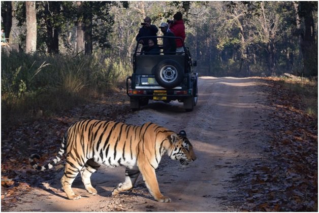 7 National Parks for Vacations in India