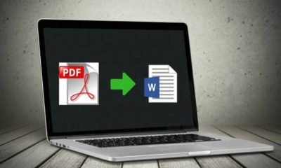 Convert PDF Files Into Word Files With PDFBear