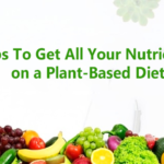 Nutrients on a Plant-Based Diet