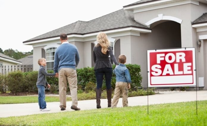 Mold Testing and Consulting: A Crucial Aspect of Real Estate Transactions