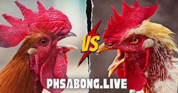 PhSabong.live