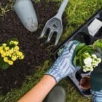Useful Gardening Tips for Beginners