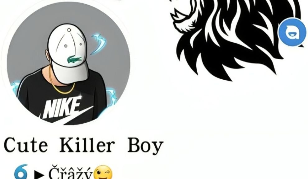 Facebook VIP Bio